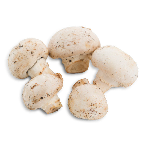 Fresh Medium Button Mushrooms #2 (2 lbs. or 10 lbs. Case)