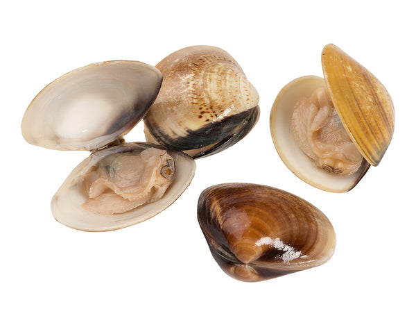 Littleneck Clams (Frozen)