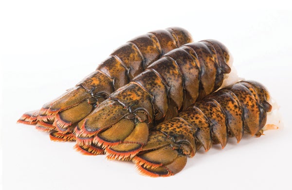 North Atlantic Lobster Tails (5-6 oz - 10 lb case)