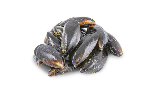 Chilean Blue Mussels (Frozen)